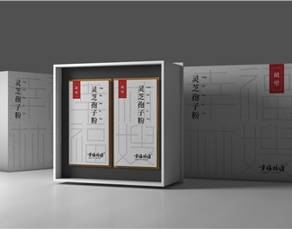 现代 包装盒 礼盒包装