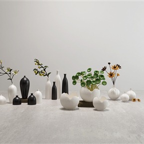 现代 花瓶 绿植组合