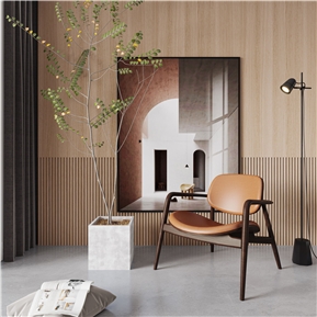 现代 休闲椅 单人休闲沙发