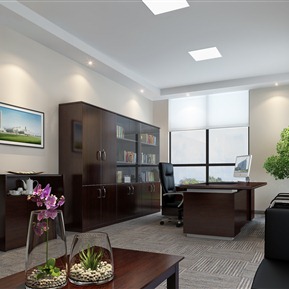 现代 办公室 总经理室