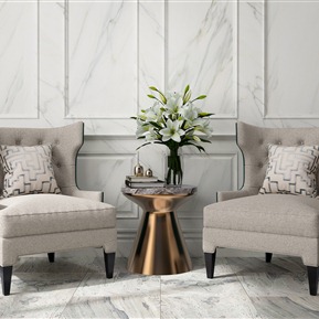 轻奢 休闲沙发组合