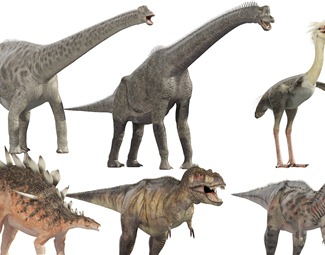 现代长颈恐龙