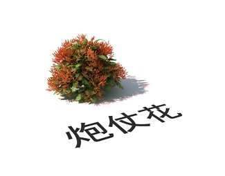 现代野外植物