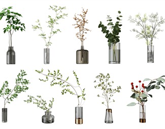 现代玻璃罐植物