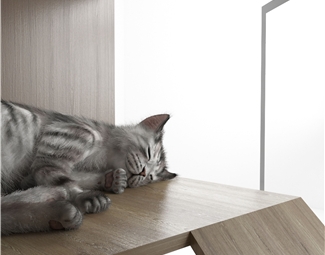 现代 猫窝 猫屋