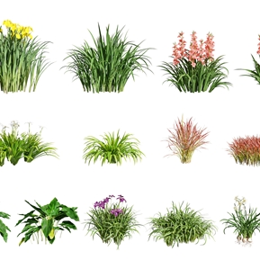 现代 植物 植物花草