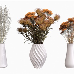 现代 花瓶 植物盆栽花瓶花草花卉干花干枝
