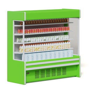 现代 冰柜 货架