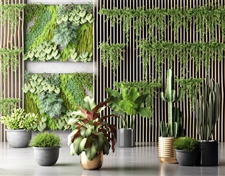 现代 盆栽 绿植植物墙花草盆栽盆景组合