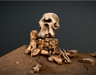 现代人体骨架模型