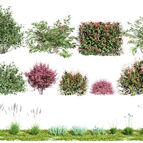 现代 草 植物灌木花草草坪