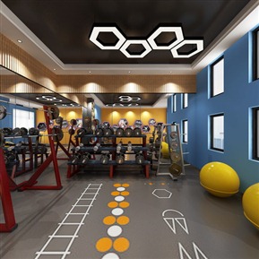 现代 健身房 单位健身室