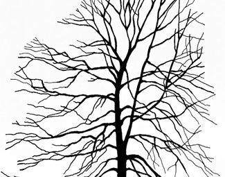 民族风黑白贴图树影贴图下载