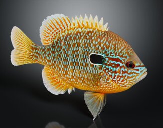 现代水族馆