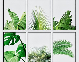 现代 植物画 镜框