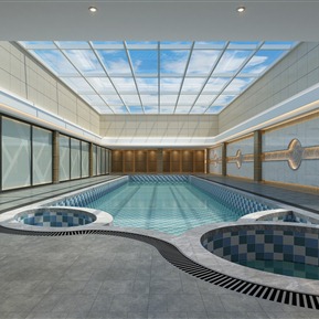 现代 游泳池 健身游泳池