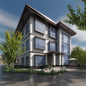 新中式 独栋别墅 别墅外建