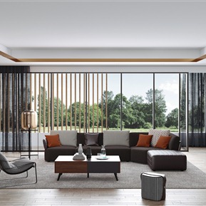 现代 客厅 休闲沙发组合