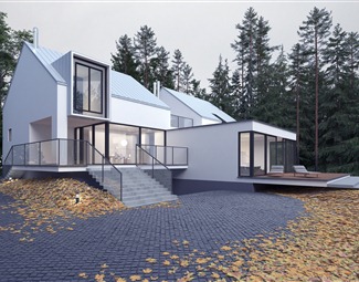 现代 独栋别墅 别墅