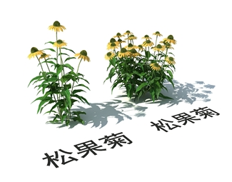现代黄色花