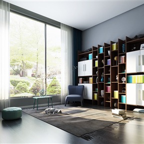 现代 书柜  书柜沙发