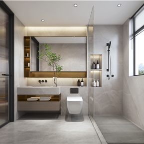 现代 卫生间 主卫