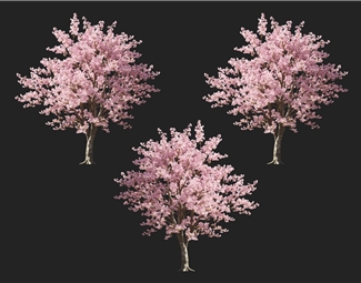 现代 花树