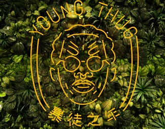 现代 装饰灯