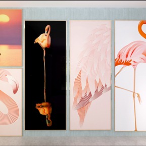 现代 动物画 装饰画 壁画 挂画 火烈鸟装饰画