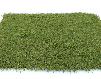 现代草皮地毯