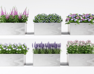 现代 花箱 花草花箱 花卉