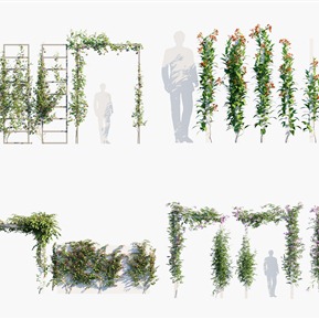 现代 藤蔓 縢蔓植物墙花架