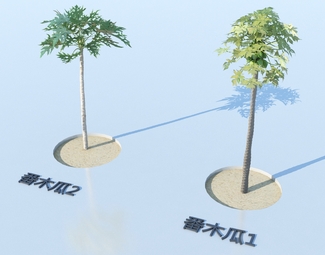 现代 番木瓜