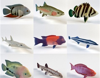 现代海洋生物