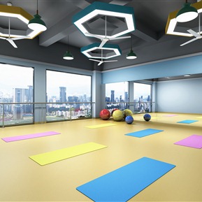 现代 瑜伽室 舞蹈瑜伽教室