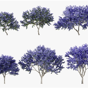 现代 茶花树 树木美洲茶花树