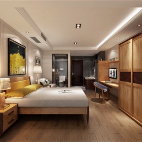 现代 公寓 样板房