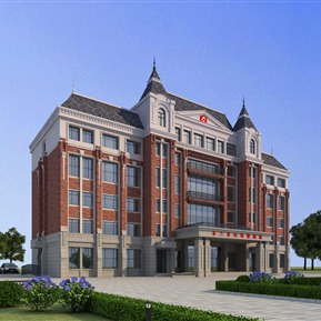 欧式 医院建筑 医院保健院