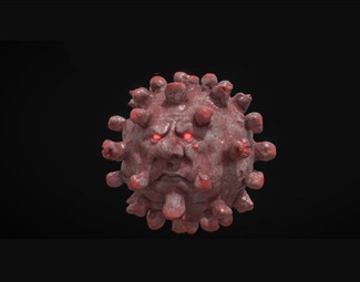 现代新型冠状病毒