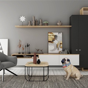 现代 电视柜 电视柜休闲椅组合