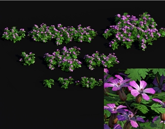 现代绿色植物