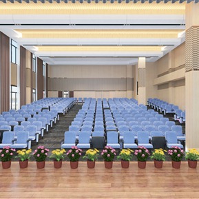 现代 剧院 学校演出大厅