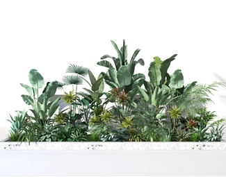 现代 植物 植物堆