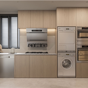 现代 厨房 洗衣机 烤箱 洗碗机 煤气灶 抽油烟机 洗菜盆组合