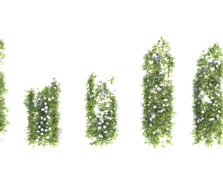 现代绿色植物