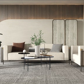 现代 沙发茶几组合