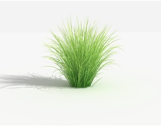 现代野外植物