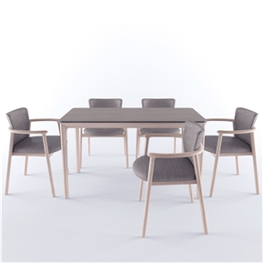 现代 餐桌椅组合