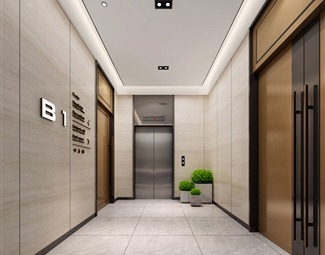 现代电梯厅石材造型墙