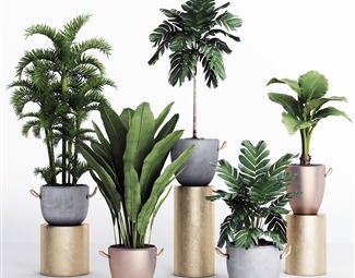 现代室内绿植组合3d模型下载